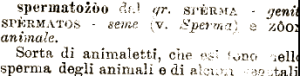 64662c