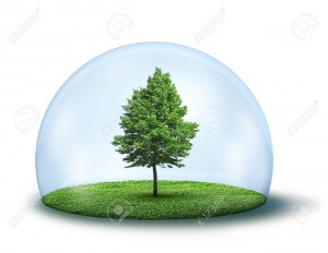 13330594-Albero-verde-e-di-erba-in-cupola-di-vetro-concetto-di-ambiente-Archivio-Fotografico