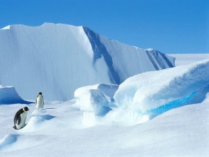 antarctique_joliecarte2