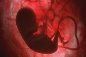 lunghezza-feto